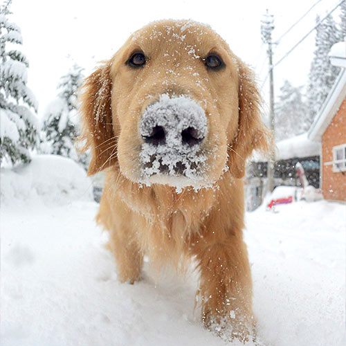 水上温泉　ペンション　朝ねぼう「トキト」