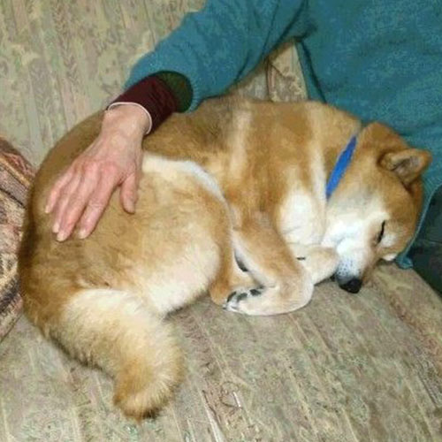 湯田中温泉　よろづや「傳（でん）」