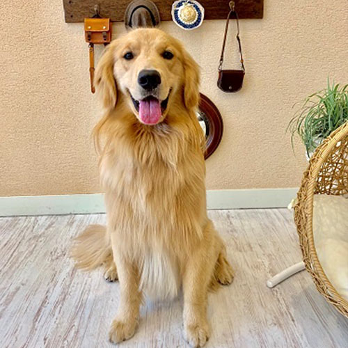 ルシアン旧軽井沢「リアン」