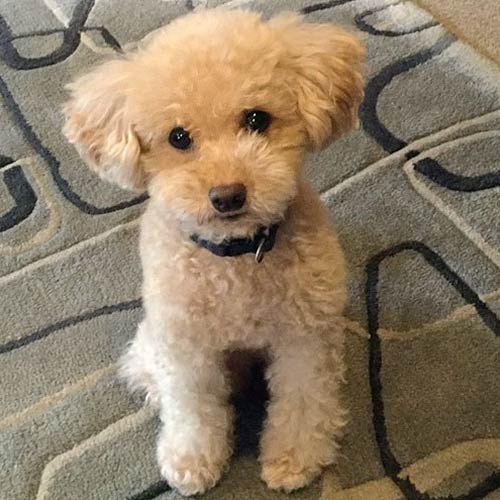 むね樹ペンション「与六（ヨロク）」