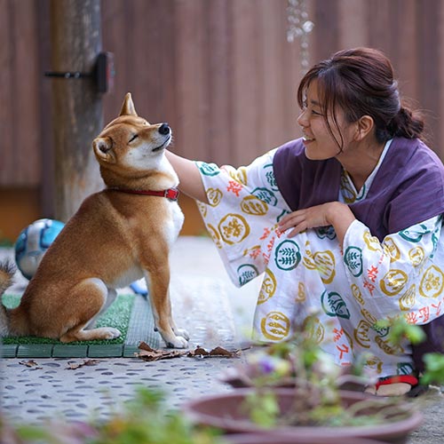 鷹ノ巣温泉　四季の郷　喜久屋「はっちー」