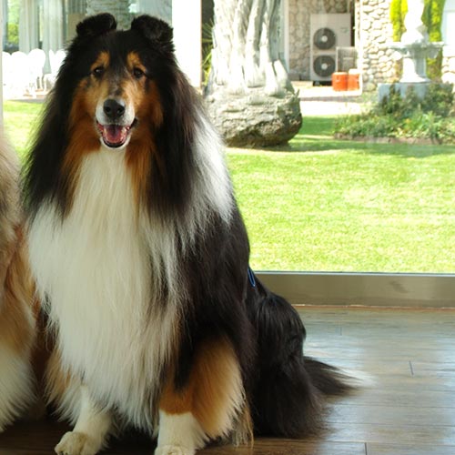 西発哺温泉ホテル「ジュッピー」