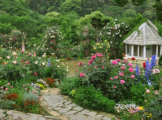 アカオハーブ&ローズガーデン