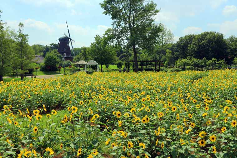 ふなばしアンデルセン公園