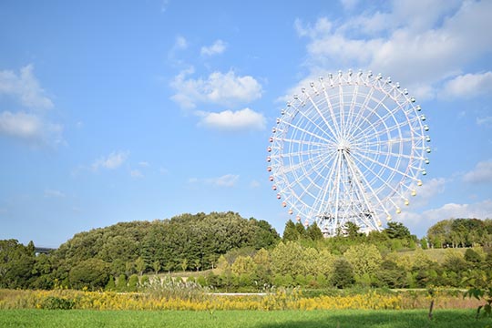 「愛・地球博記念公園（モリコロパーク）」大観覧車