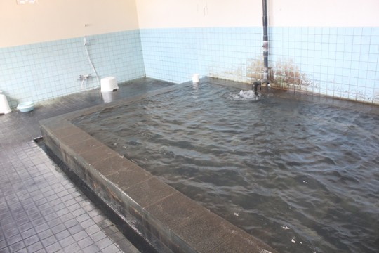 洞輪沢温泉の内湯
