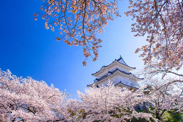 小田原城址公園