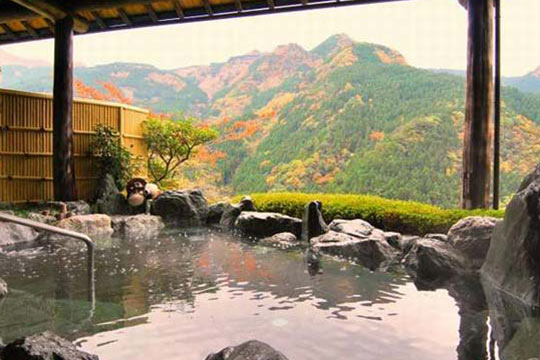 新祖谷温泉　ホテルかずら橋