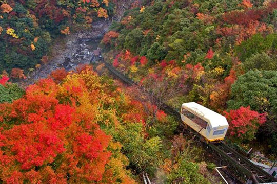 和の宿　ホテル祖谷温泉