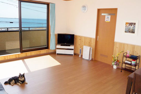 サニーコースト南房総