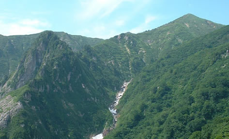 六日町温泉　いろりあん