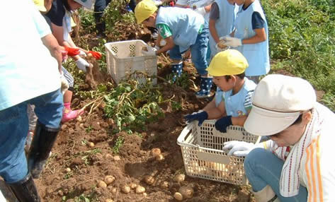 ファームイン　悠遊ファーム