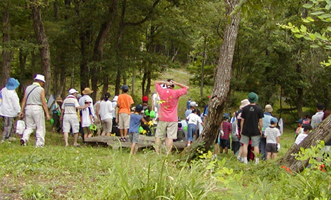 六日町温泉郷　ほてる　木の芽坂
