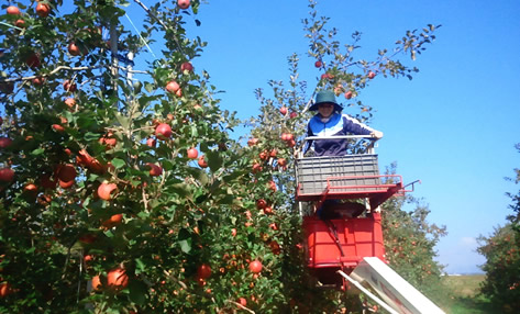 ロッジ　スカディ