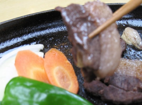 龍神温泉　美人亭