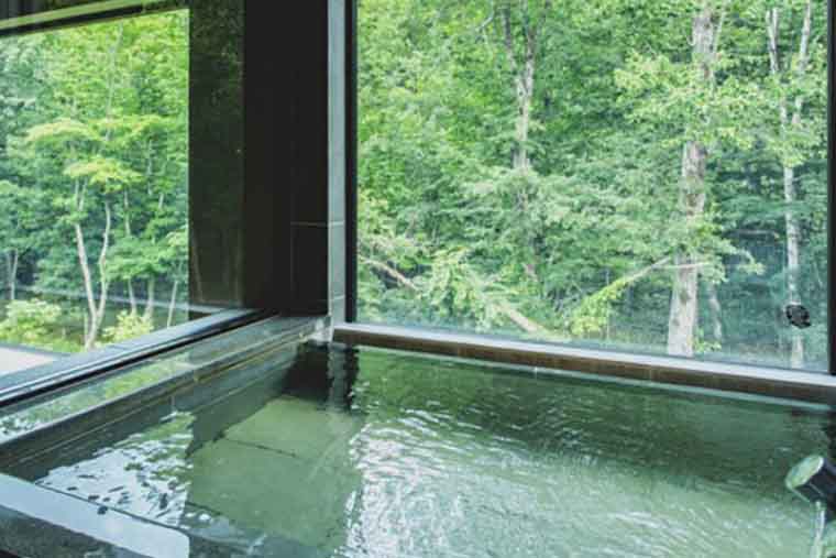 奥定山渓温泉 佳松御苑