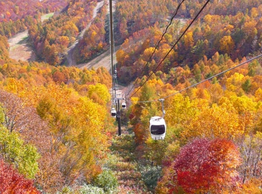 裏磐梯 グランデコ 東急ホテル