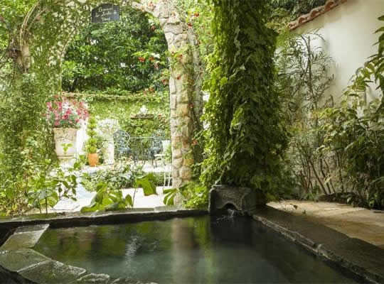 伊豆高原　全室露天風呂付きの宿　花の森クラリス