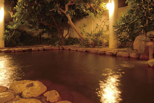 ロイヤルホテル　沖縄残波岬　－ＤＡＩＷＡ　ＲＯＹＡＬ　ＨＯＴＥＬ－