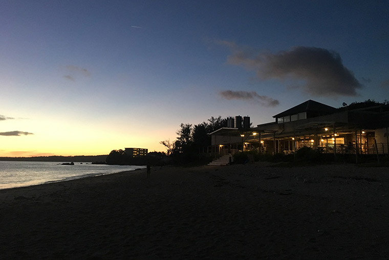 オン・ザ・ビーチ　ルー