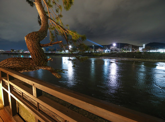 京都鴨川のお宿 たまみ