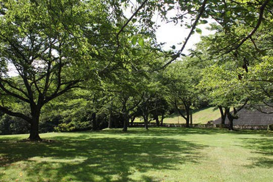 ホテルラフォーレ修善寺