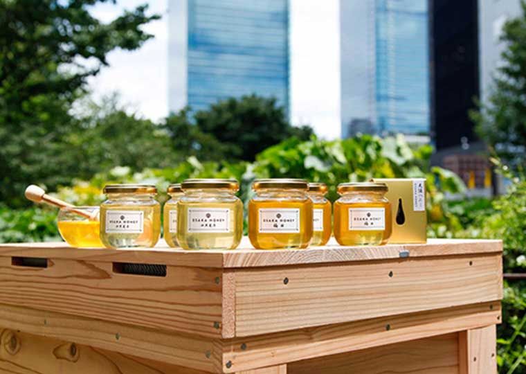 インターコンチネンタルホテル大阪 メグリ スパ アンド ウェルネス