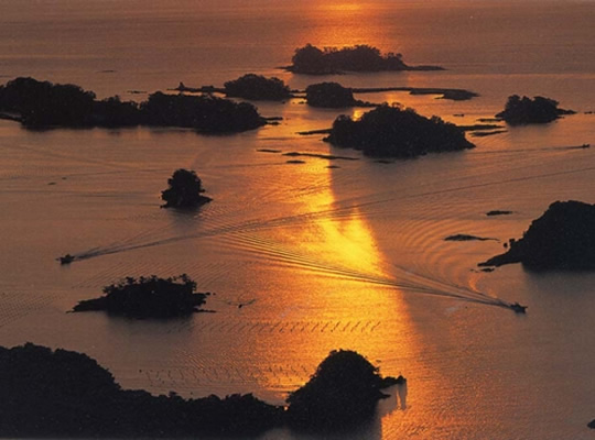 潮幸の宿　はな一