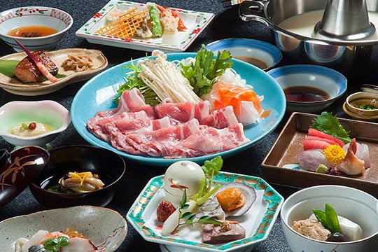 湯河原温泉　源泉　上野屋