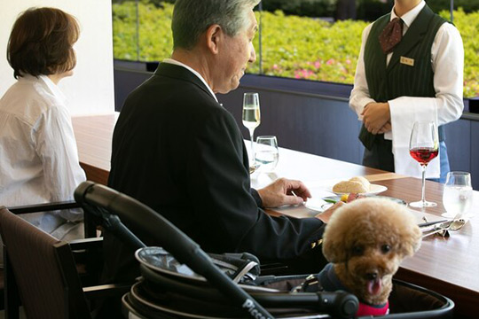 コレドール湯河原　Ｄｏｇ＆Ｒｅｓｏｒｔ