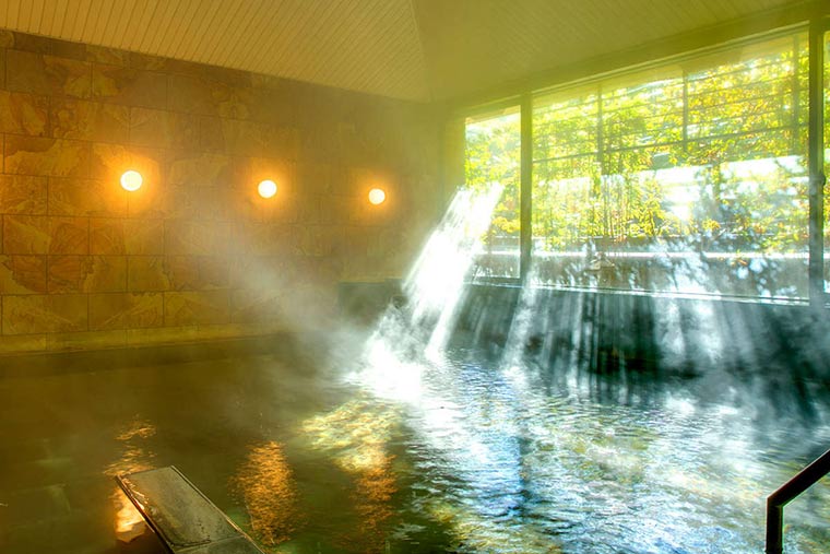 フォレストリゾート　湯の里　杉菜