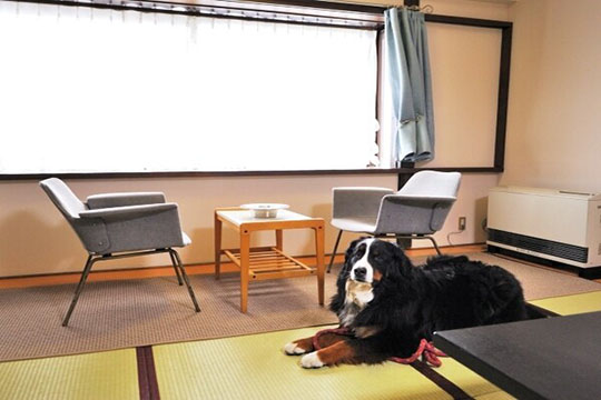 蔵王温泉　最上高湯　善七乃湯（旧：蔵王温泉　大平ホテル）