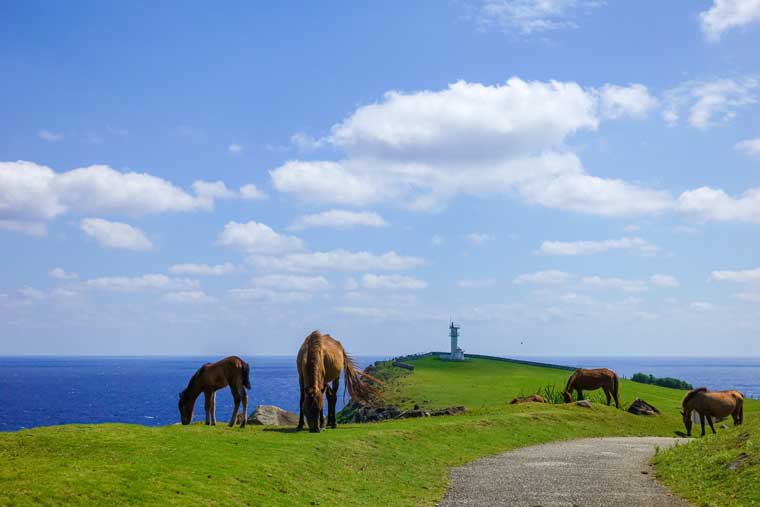 与那国島（よなぐにじま）