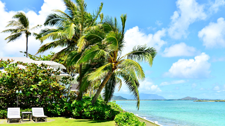 ハワイのビーチ