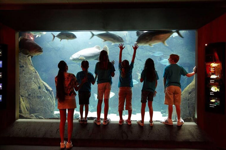 キッズプログラムとは？