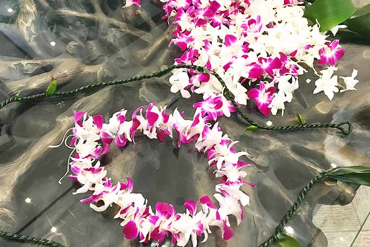 レイ・メイキング＆ゲッコー・キーホルダー