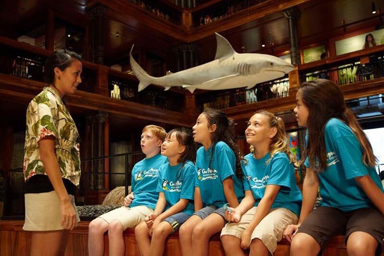 キャンプ・ペンギン チルドレンズ・プログラム