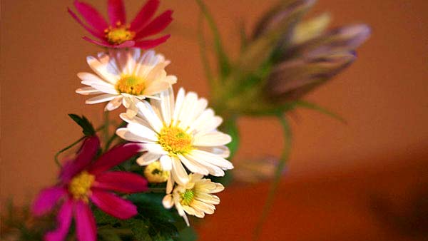 高野山 別格本山 明王院