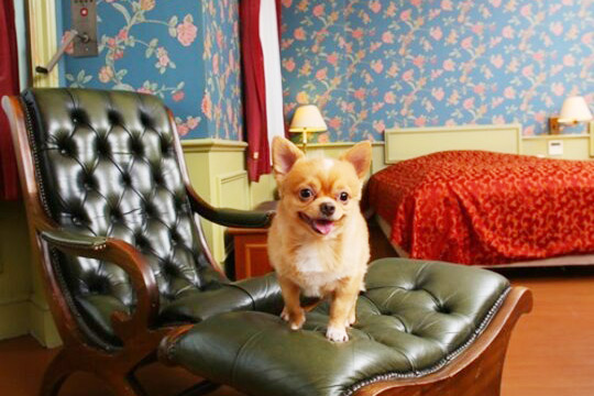 那須温泉　ウェルネスの森　那須