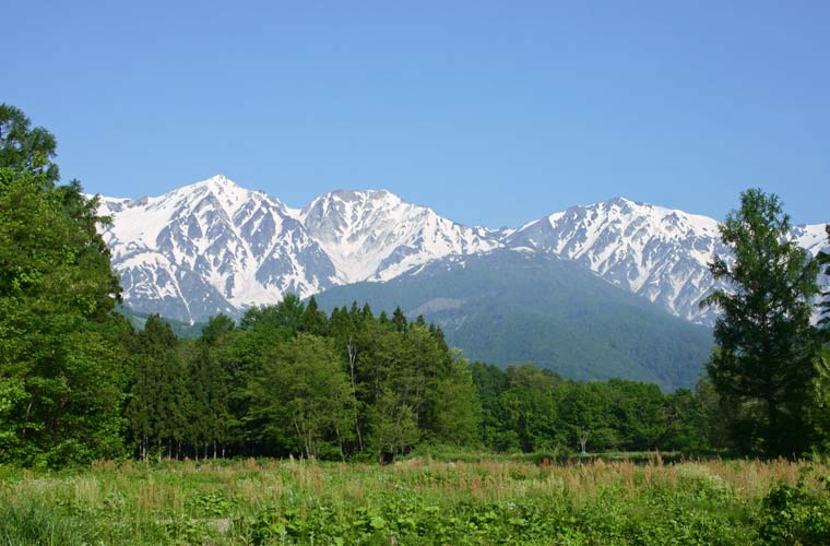 山麓から仰ぐ白馬三山