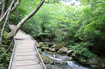 あだたら渓谷遊歩道
