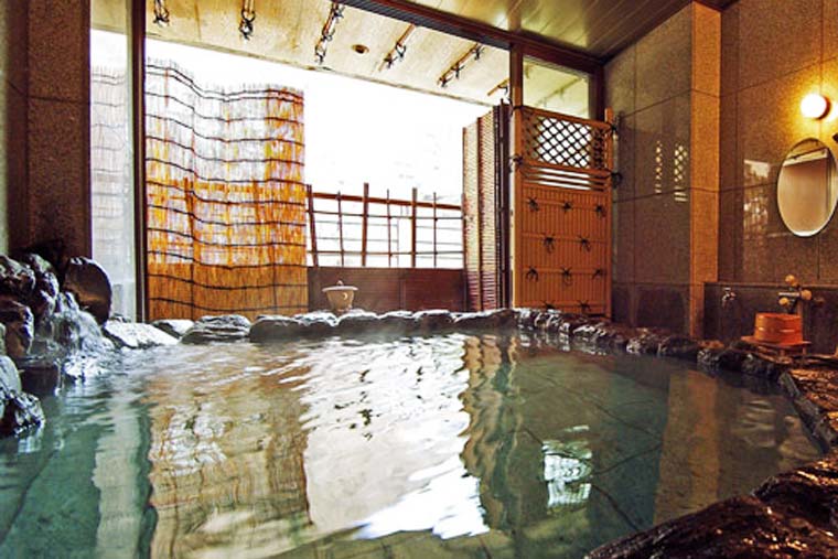 鬼怒川温泉　湯けむりまごころの宿　一心舘