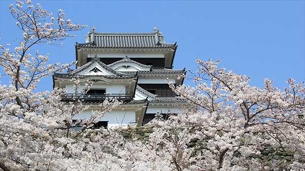 八幡浜・宇和島エリア（愛媛県）