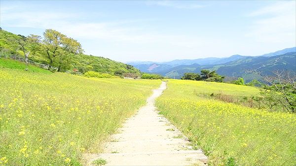 西条・新居浜・四国中央エリア（愛媛県）