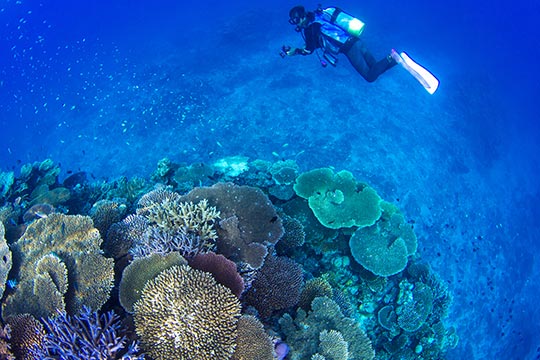 伊平屋島 ダイビングスポット