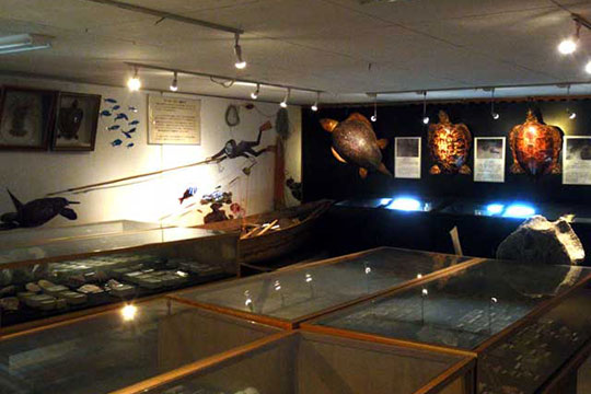 黒島 黒島研究所