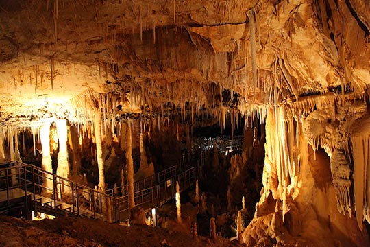 南大東島 星野洞