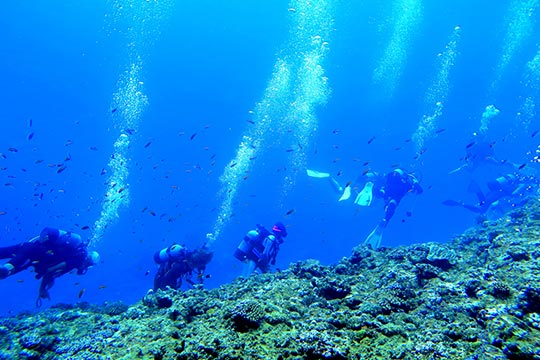 宮古島 スキューバダイビング