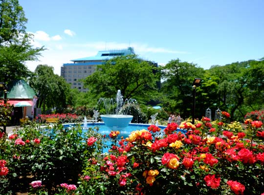 花巻温泉　バラ園