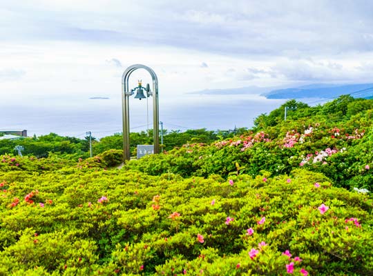 湯河原温泉　星ヶ山公園